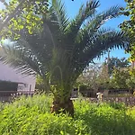 Visnja 德拉马利